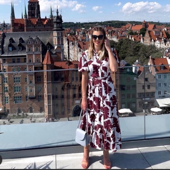 NWT Zara button down printed ruffled dress - Picture 8 of 16